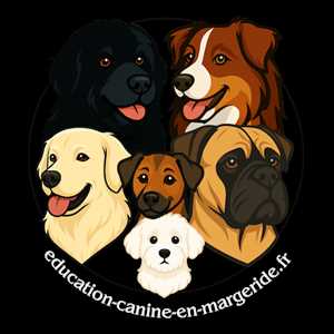 Pascal Flork, un éducateur canin à Beaucaire