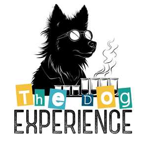 Laetitia, un dresseur de chiens à Wattrelos