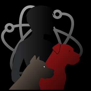 Aegonix: éducmyatomicdogg, un comportementaliste canin à Bordeaux