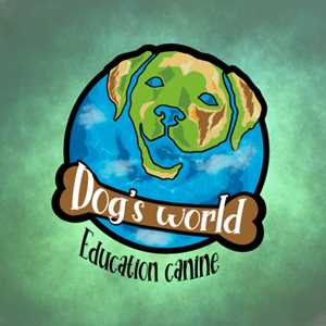 Dog's World Education Canine, un éducateur canin à Nemours