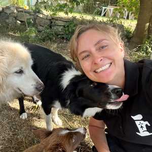 LA MEUTE DE BRETAGNE , un éducateur canin à Vincennes